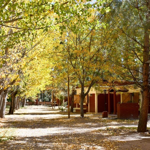 Cabañas Uspallata