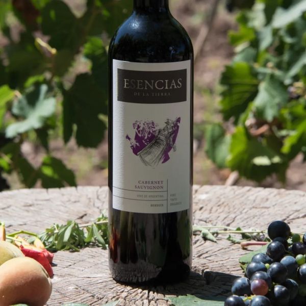 Organic Wine Argentina