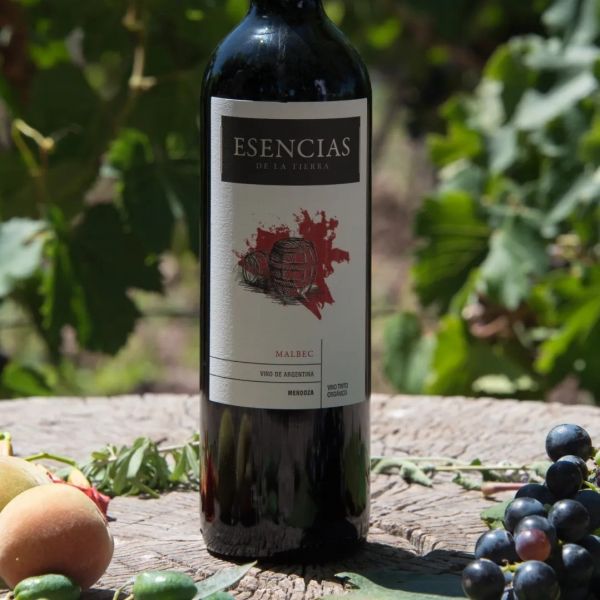 Organic Wine Argentina