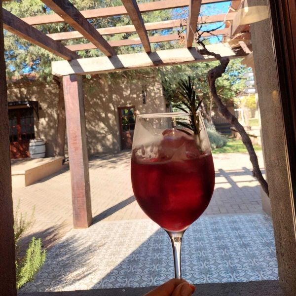 Bodega Terra Camiare