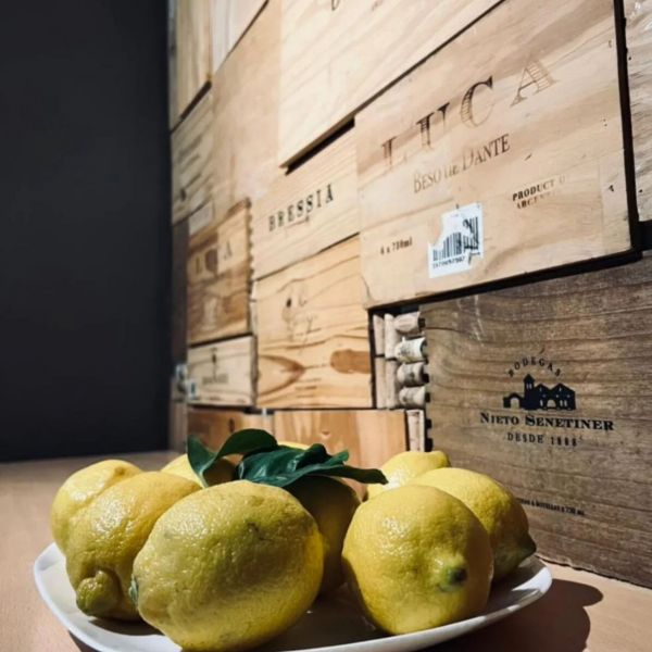 Lemon Tree