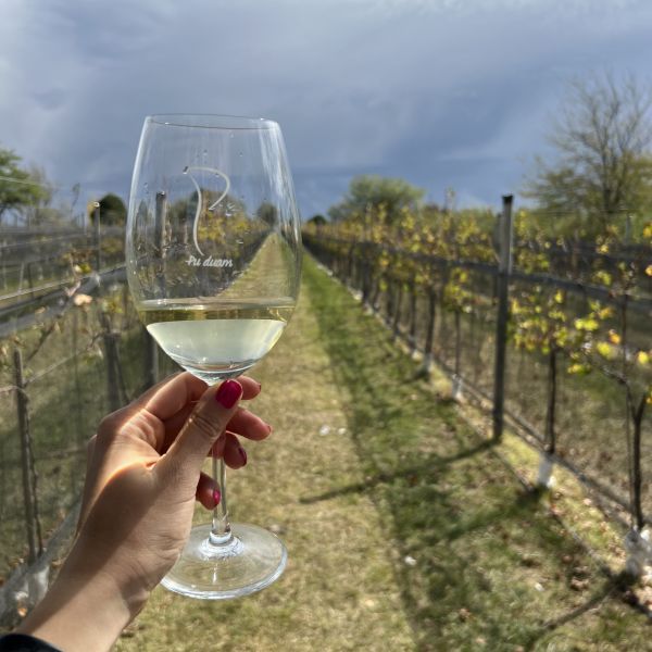 Córdoba Wine Travel