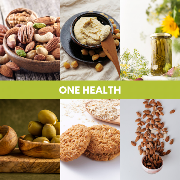 One Health