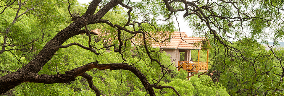 El 44 Reserva Natural de Tiempo Libre